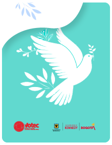Elecciones Consejo Local de Paz Reconciliación Convivencia…