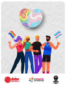Elecciones AtÍpicas Consejo Consultivo Distrital LGBTI 2023 2025