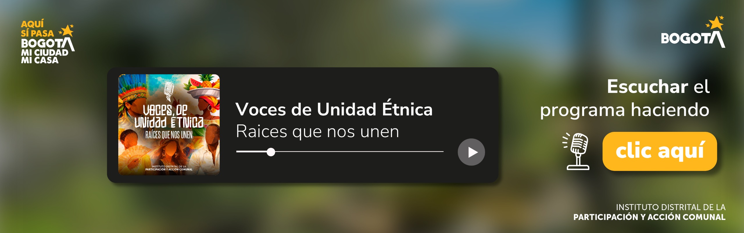 Nace Voces de Unidad Étnica