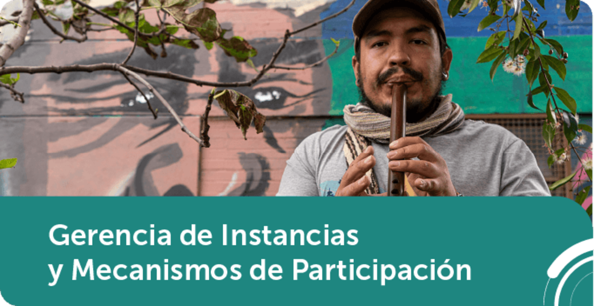     Gerencia de Instancias y Mecanismos de Participación 