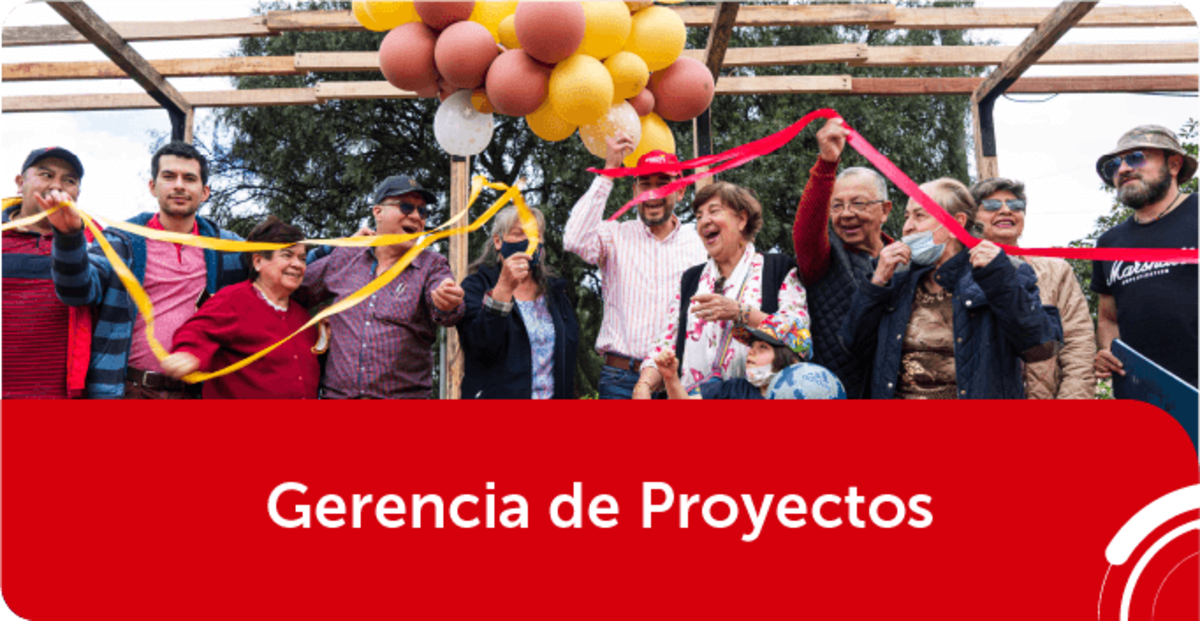 gerencia de proyectos