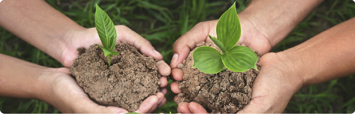 Fotografía de varias personas sosteniendo en sus manos montículos de tierra con plantas jóvenes, representando el compromiso ciudadano con el cuidado del medio ambiente, la sostenibilidad y la protección de los recursos naturales. La imagen simboliza la participación de grupos ambientalistas y las acciones comunitarias para fortalecer la conservación ambiental en Bogotá.