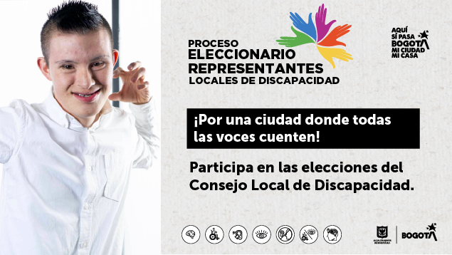 Elecciones del Consejo Local de Discapacidad.