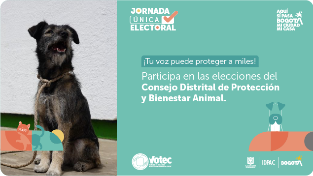 Consejo Distrital de protección y bienestar animal