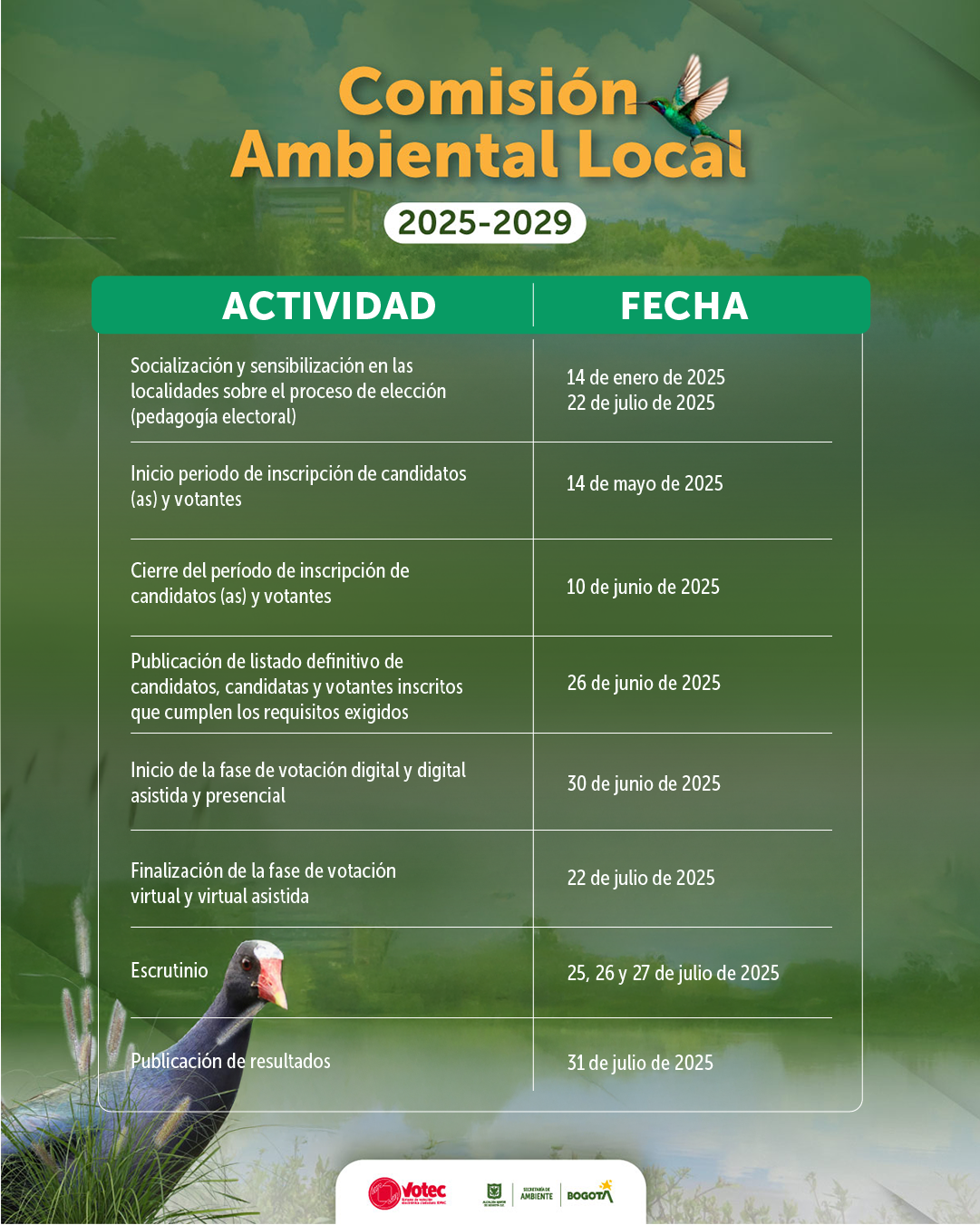 Cronograma Comision Ambientál