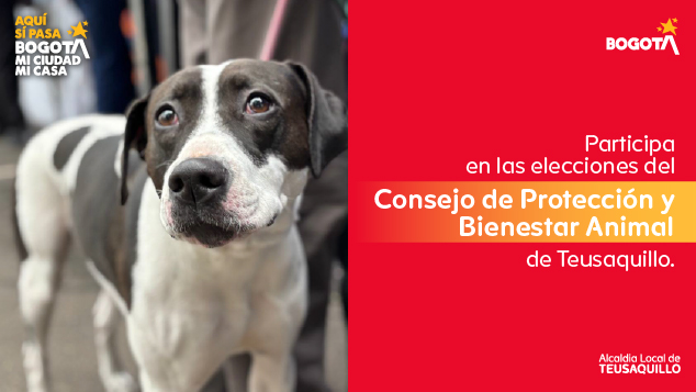 Participa en las elecciones del Consejo de Protección y Bienestar Animal de Teusaquillo en Bogotá y fortalece la participación ciudadana local.