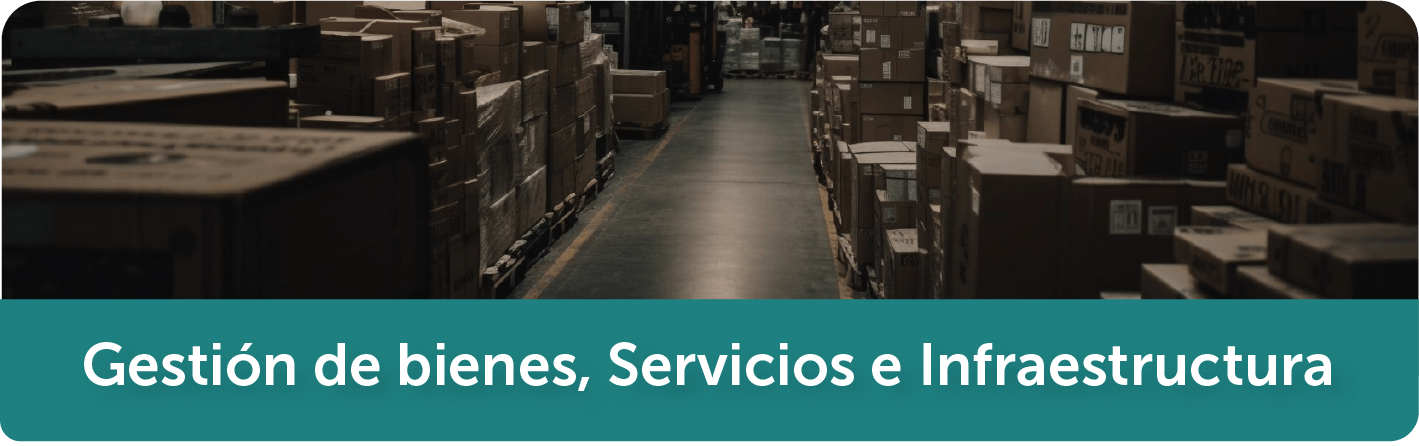 Gestión de bienes, Servicios e Infraestructura