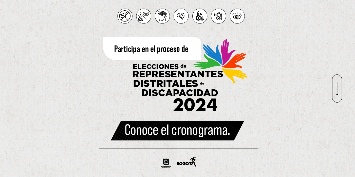 Representantes al Consejo Distrital de Discapacidad 2024