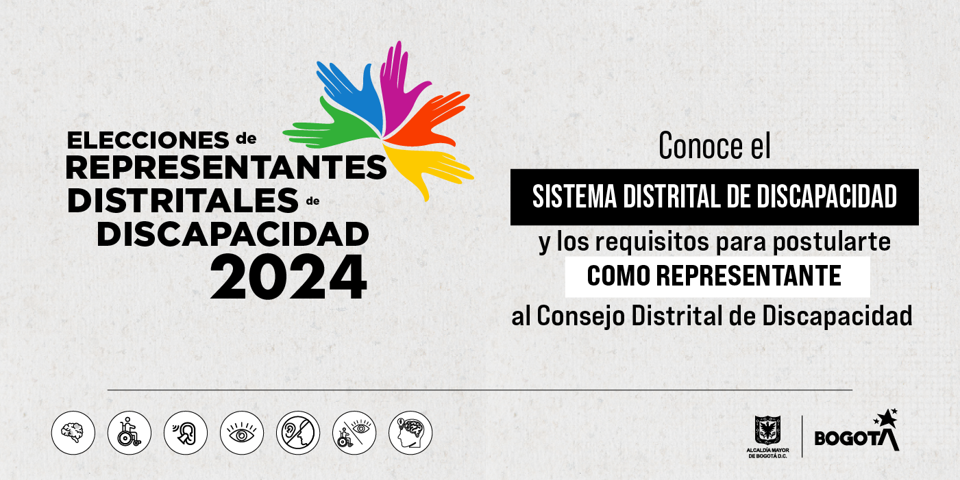 Consejo Distrital de Discapacidad 2024
