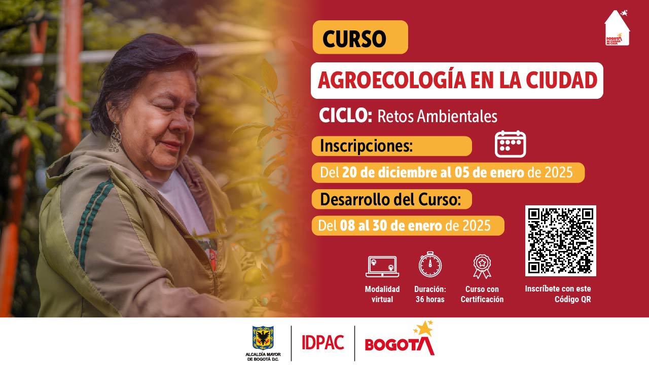 Oferta de Cursos Escuela de la Participación