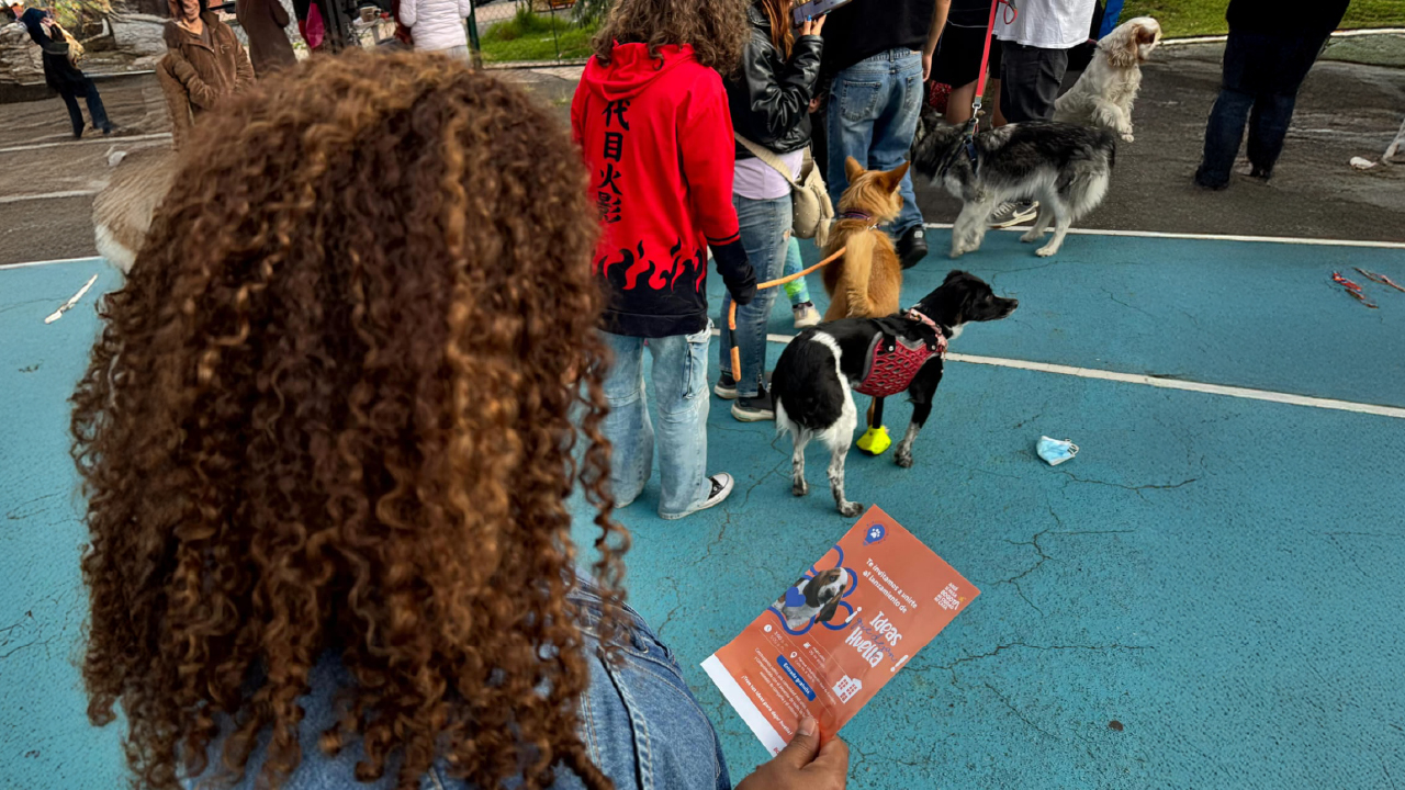 Ciudadanos con perros en jornada de Ideas Que Dejan Huella del IDPAC en parque de Kennedy