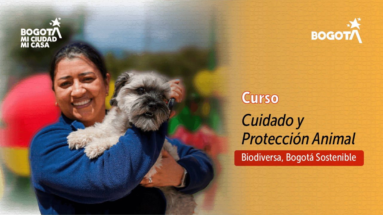 Participante del curso de Cuidado y Protección Animal sostiene a un perro mientras aprende sobre prácticas responsables de protección animal en Bogotá.