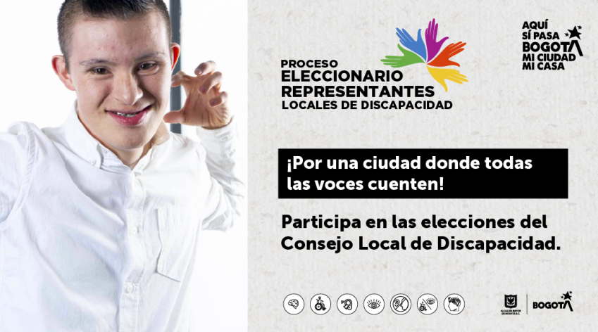 Consejos Locales de Discapacidad 2025