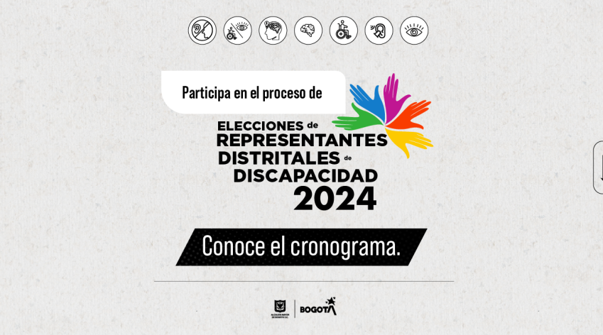 Representantes al Consejo Distrital de Discapacidad 2024