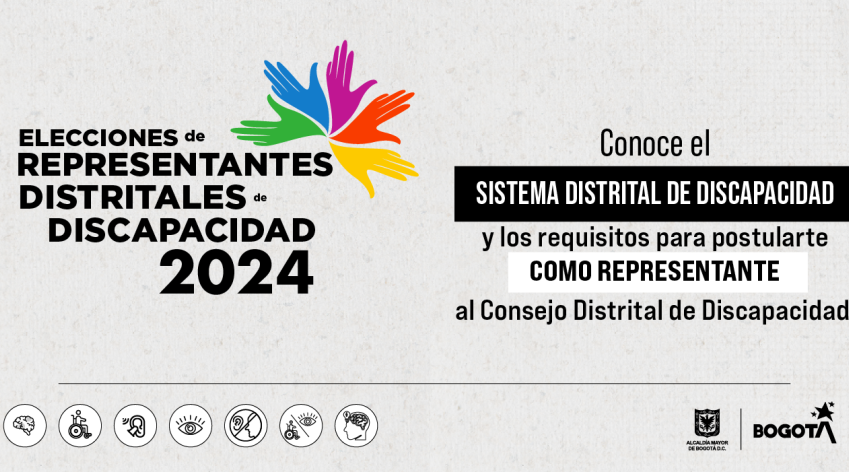 Consejo Distrital de Discapacidad 2024