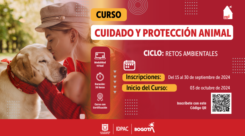 Cursos Escuela